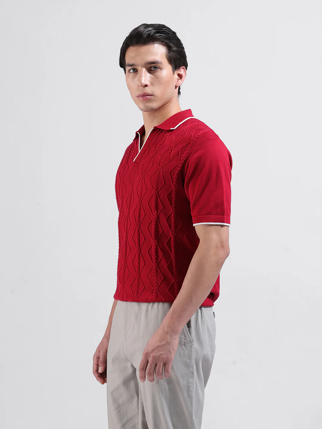 Men's Red Slim Fit Striped Flat Knit Polo Polo T-Shirt - Image 6